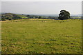 Farmland near Pentre-Llwyn-Llwyd