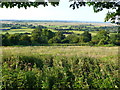 View over West Sedgemoor