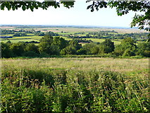 ST3323 : View over West Sedgemoor by Nigel Mykura