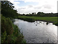 River Devon 