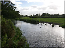 SK7852 : River Devon  by Alan Murray-Rust
