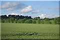 Wheat field by the A5