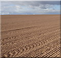 Ploughed field