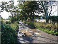 Farm Road at Greenan