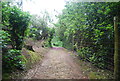 Footpath below Winterfold Hill