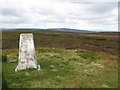 NT5861 : Meikle Says Law Trig Point by G Laird