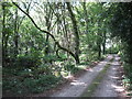 Track at Bolter End Common