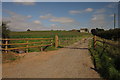 SJ8929 : Farm drive to Elmhurst by Derek Harper