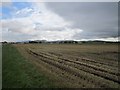 Stubble, Scone Aerodrome