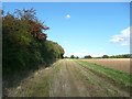 Field path, Graveley