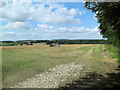 Cropped arable field southwest of Egbury Hill Fort