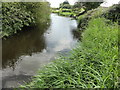 Dymchurch, Marshland Sewer