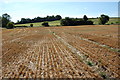 Harvested Field at Kenardington, Kent