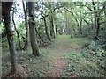 Llwybr Arfordir Cymru / Wales Coastal Path