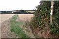 Bridleway to the Old Coach and Horses