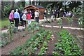 Tiverton : Hospiscare Pine Lodge Centre - The Garden