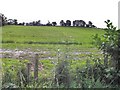 Garvallagh Townland