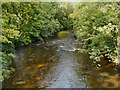 River Goyt at Strines