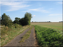 TL6252 : Byway to Carlton and Willingham Green by John Sutton