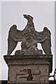 TQ2550 : Eagle, Reigate Priory by Ian Capper