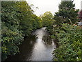 River Goyt, Marple Bridge