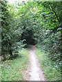 Bridleway near Downside Manor