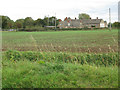 View across the fields to houses on Lechlade Road