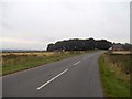 Cranberry Road near Penistone