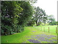 Moss Lane, from Buckley Hill Farm