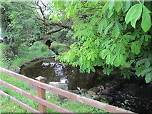 H0739 : Water flowing in two directions from the Holy Well at Holywell, Co. Fermanagh by Eric Jones