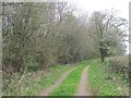 Green lane beside Chantry Wood