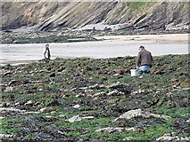S7405 : Gleaning on the shore at Bouley Bay by Oliver Dixon
