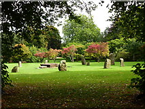 ST1776 : Autumn colours and the Gorsedd Stones, Bute Park, Cardiff by Ruth Sharville