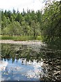 Lochan by Fir Lodge