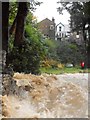 Cored ar Afon Colwyn yn ystod glaw trwm / Weir on Afon Colwyn during heavy rain