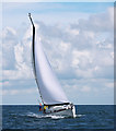J5082 : Yacht, Bangor Bay by Rossographer