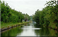 Grand Union Canal near Tyseley, Birmingham