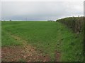 Field outside Ledbury