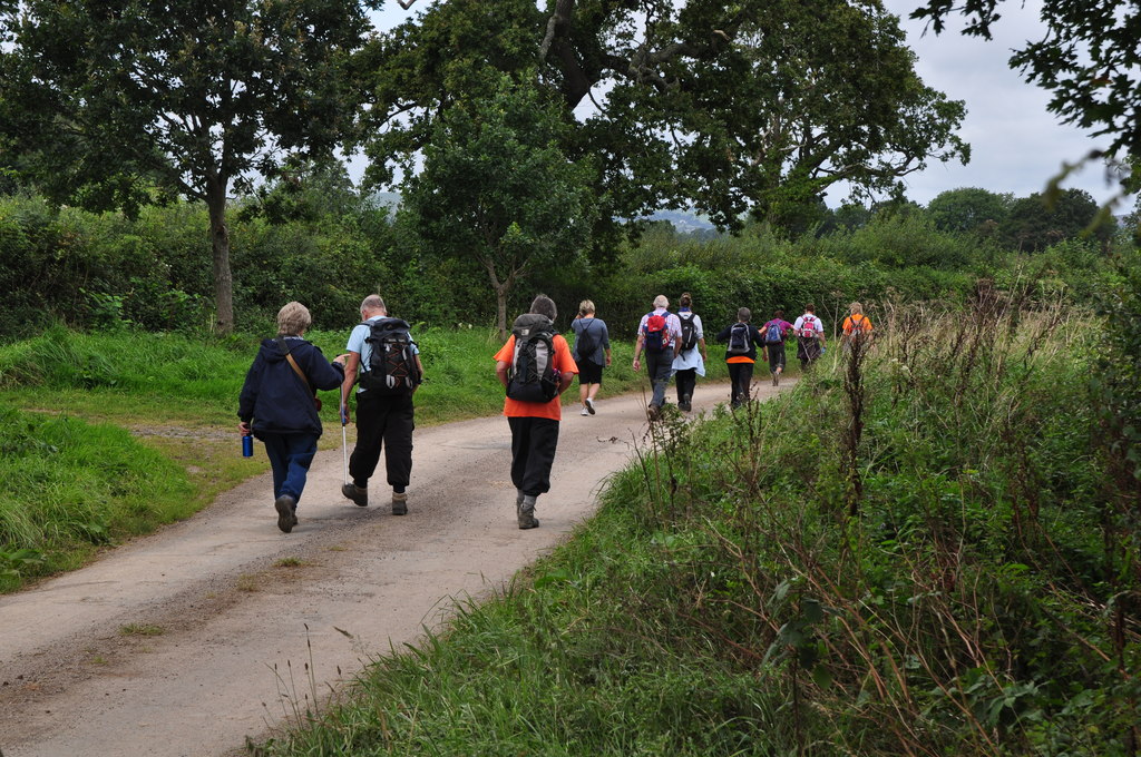 East Devon : Country Road & Ramblers © Lewis Clarke :: Geograph Britain ...