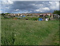 Allotments in Asfordby