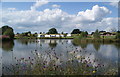 Spring Heath Fishery, Knockin