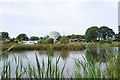 Merlin Telescope and Spring Heath Fishery Knockin