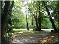 Wooded area south of Swift Road