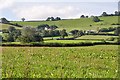 Mid Devon : Grassy Field & Countryside