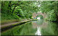 Grand Union Canal east of Acock