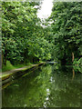 Grand Union Canal north-east of Acock