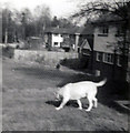 Rear of 166 & 172, Hanging Hill Lane, Hutton