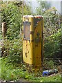 Hen bwmp tanwydd / An old fuel pump