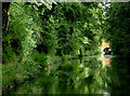 Grand Union Canal south-east of  Olton, Solihull