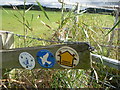 SO7109 : Footpath waymarkers beside the Severn near Arlingham by Jeremy Bolwell